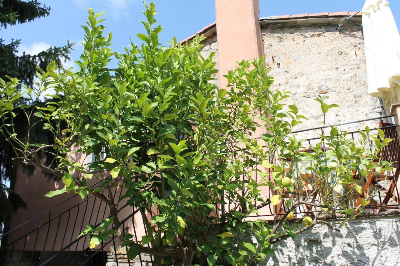 Agriturismo Terrazza Sul Golfo - Il Casale Λα Σπέτσια Εξωτερικό φωτογραφία